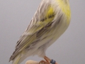 agaatpastel-geel-mozaiek-type-2