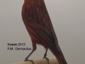 zwartkobalt-rood-intensief