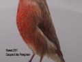 zwartpastel-rood-schimmel